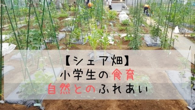 小学生の食育・自然とのふれあい　シェア畑