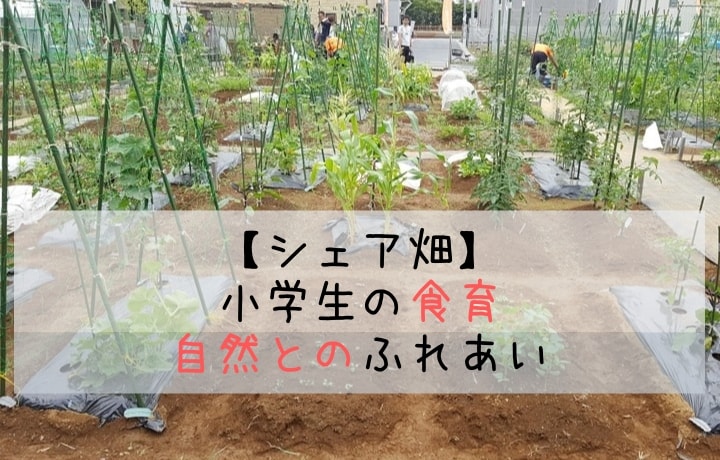 小学生の食育・自然とのふれあい　シェア畑